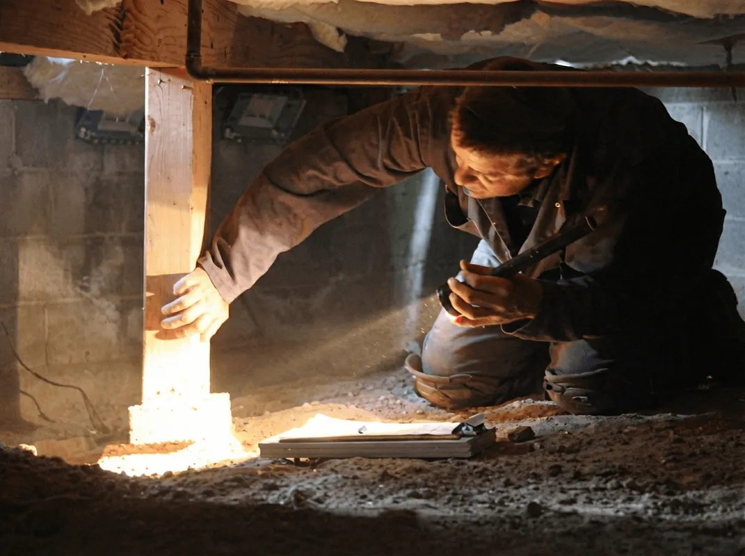A professional inspecting wooden beams under the floor of a structure in Tallahassee, FL